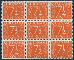 Surinam 242 Block/9, MNH. Michel 290. Definitive 1948. Numeral. - Suriname