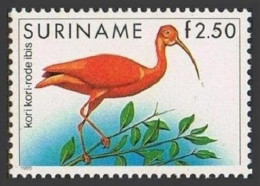 Surinam 727, MNH. Michel 1148. Birds 1985. Red Ibis. - Surinam