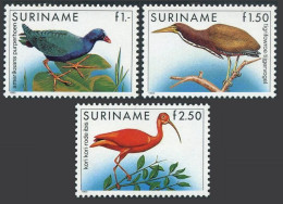 Surinam 725-727, MNH. Mi 1146-1148. Birds 1985. Purple Fowl, Tiger Bird,Red Ibis - Suriname