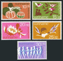 Surinam B211-B215, MNH. Mi 682-686. Welfare 1974. Fruit, Birds.Flowers,Dancing. - Suriname