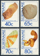 Surinam 669-672, MNH. Michel 1071-1074. Local Sea Shells, 1984. - Suriname