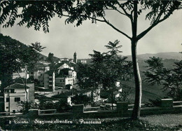 LOIANO ( BOLOGNA ) PANORAMA - EDIZIONE SERENARI - SPEDITA - 1950s (20567) - Bologna