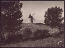 FONTVIEILLE LE MOULIN D ALPHONSE DAUDET 13 - Fontvieille