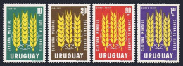 Uruguay 700-701,C254-C255 Blocks/4-margin,MLH/MNH. FAO.Freedom From Hunger,1963. - Uruguay