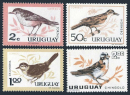 Uruguay 695-698, Hinged. Michel 955-958. Birds 1963. Thrush,Iverbird,Mockinbird, - Uruguay