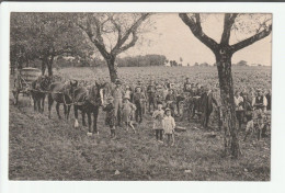 0037. Verrières - Domaine De Loiseau - Ranson Propriétaire - Les Vendanges - - Autres & Non Classés