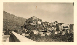 Corté * Le Village * Photo Ancienne 11.5x7cm * Haute Corse 2B - Corte