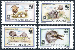Uruguay 1509-1512, MNH. Michel 2021-2024. WWF 1993. Rhea Americana - Naudu. - Uruguay