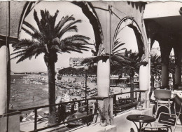 Saint-Raphael (Var), Vue Prise De L'Hôtel "Les Algues" Gl1955 #G5173 - Autres & Non Classés