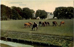 S Gravenhage - Den Haag ('s-Gravenhage)