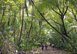 1 AK American Samoa * Ansicht Der Insel Swains - Ein Atoll Im Südpazifik - Es Gehört Zu Amerikanisch Samoa * - American Samoa