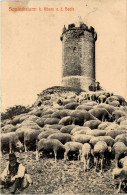 Saaleckturm Bei Bad Kösen - Bad Koesen