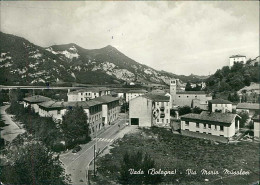 VADO ( MONZUNO / BOLOGNA ) VIA MARIO MUSOLESI - EDIZIONE NANNI - SPEDITA - 1960s (20571) - Bologna