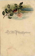 Pfingsten - Maikäfer - Pentecoste