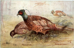 Pheasants - Vögel
