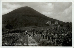 Rhodt An Der Weinstrasse - Villa Ludwigshöhe - Sonstige & Ohne Zuordnung