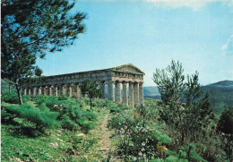 ITALIE - Segesta - Le Temple - Carte Postale - Siracusa