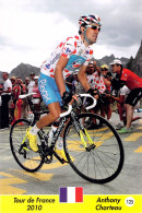 CYCLISME: CYCLISTE : ANTHONY CHARTEAU - Cyclisme