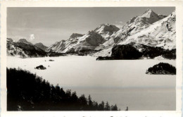 Sils Im Engadin - Der Bergeskranz Gegen Maloja - Other & Unclassified