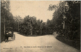 Saigon - Une Allee Du Jardin Botanique - Vietnam