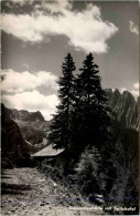 Dolomitenhütte Mit Spitzkofel - Lienz