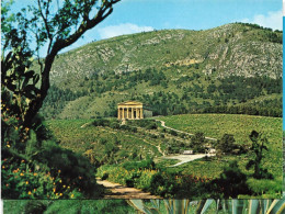 ITALIE - Segesta - Le Temple - Carte Postale - Siracusa