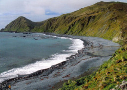 1 AK Macquarie Island * Landschaft Dieser Subantarktischen Insel * Seit 1997 UNESCO Weltnaturerbe - Zu Australien * - Sonstige & Ohne Zuordnung