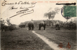Annam - Hue Elephants - Viêt-Nam