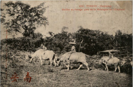 Tonkin - Haiphong - Viêt-Nam