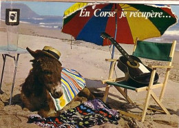 En Corse Je Réupère ; Expédiée De Ota En 1978 ( âne , Guitare - Other & Unclassified