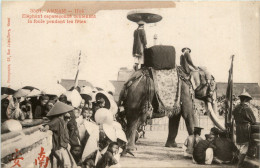 Annam - Hue - Elephants - Vietnam