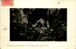 Margaret River - Entrance To Mammoth Cave - Autres & Non Classés