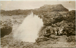 Kiama - The Blowhole - Other & Unclassified