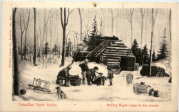 Boiling Maple Sugar In The Woods - Canada - Unclassified