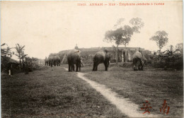 Annam - Hue - Elephants - Vietnam