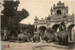 Annam - Hue - Elephants - Vietnam