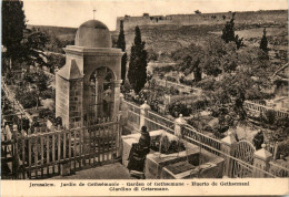 Jerusalem - Garden Of Gethsemane - Israel
