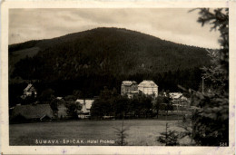 Sumava Spicak - Hhotel Prokop - Czech Republic