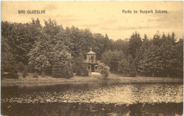 Bad Oldesloe - Partie Im Kurpark - Sonstige & Ohne Zuordnung