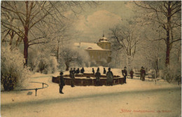 Zittau - Stadtgärtnerei Im Winter - Zittau