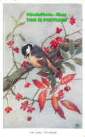R419968 The Coal Tit Mouse. Valentine. Winifred Austen Bird Series. 1954 - World
