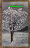 R420003 Christmas Wishes. This Christmas Wish Accept From Me. 1912 - World