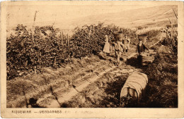 CPA Riquewihr Vendanges (1390509) - Riquewihr