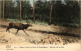 CPA Foret De Fontainebleau Chasse A Courre Hunting (1390917) - Fontainebleau