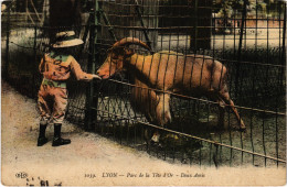 CPA Lyon Parc De La Tete-d'Or Zoo (1390553) - Autres & Non Classés