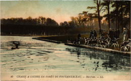 CPA Foret De Fontainebleau Chasse A Courre Bat-l'eau Hunting (1390930) - Fontainebleau