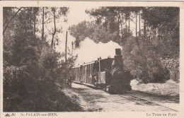 SAINT PALAIS SUR MER LE TRAM EN FORET 1930 TBE - Saint-Palais-sur-Mer