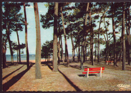 ANDERNOS LES BAINS LA PLAGE DU BETEY 33 - Andernos-les-Bains