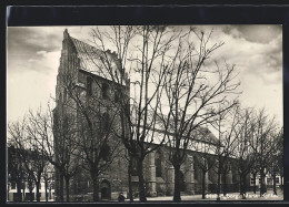 AK Helsingborg, Maria-Kyrka  - Zweden