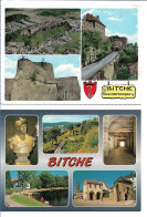 57 . BITCHE . SA CITADELLE ET SES FORTS . LOT DE 2 CARTES - Bitche